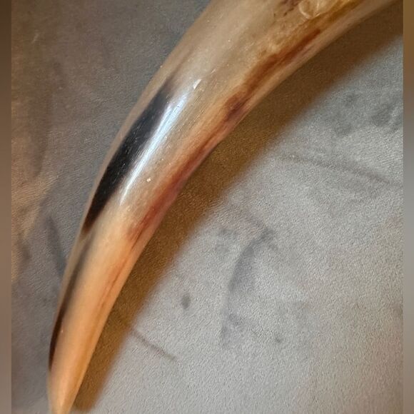 Handcrafted Natural Viking Beer Horn 16"Medieval Drinking Vessel Brass O… - Picture 10 of 15